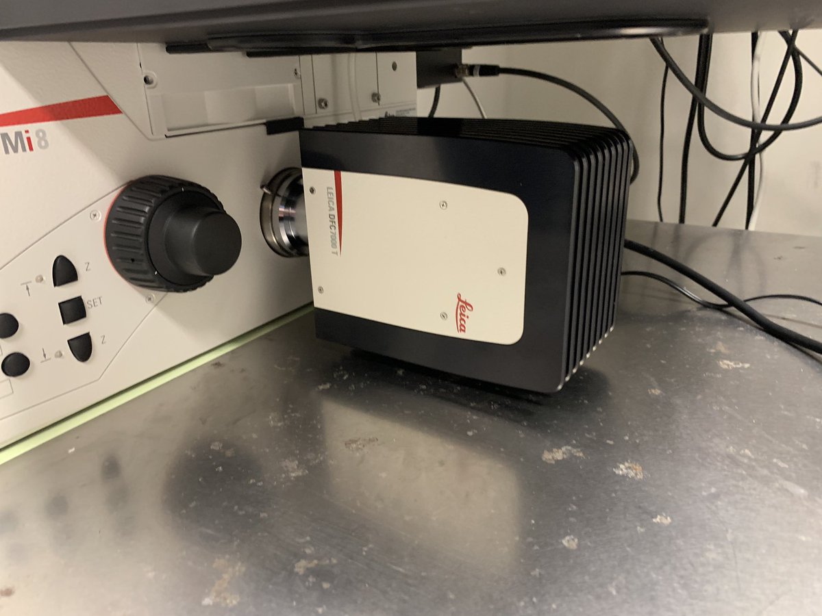 NeuroStemLab's tweet photo. Well here it is, after installation by myself 💪 over the phone 📱 to Leica rep Scott (due to COVID), #Whatsinthebox is indeed our new @LeicaMicro DFC7000T colour/FL camera I’ve wanted for over a year! Some optimisation to come but looking forward to taking some nice images soon! https://t.co/mHEnSZAbNA