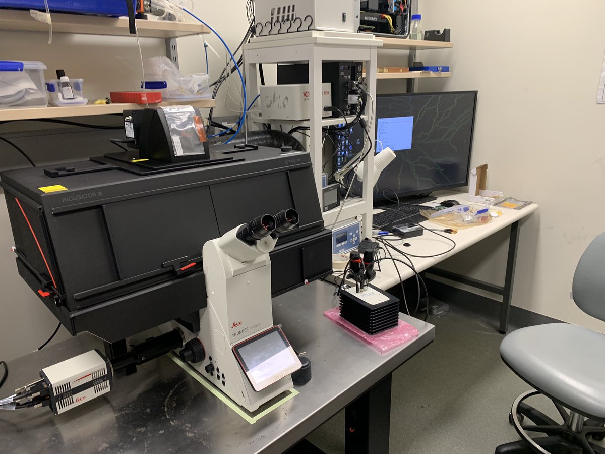 NeuroStemLab's tweet photo. Well here it is, after installation by myself 💪 over the phone 📱 to Leica rep Scott (due to COVID), #Whatsinthebox is indeed our new @LeicaMicro DFC7000T colour/FL camera I’ve wanted for over a year! Some optimisation to come but looking forward to taking some nice images soon! https://t.co/mHEnSZAbNA