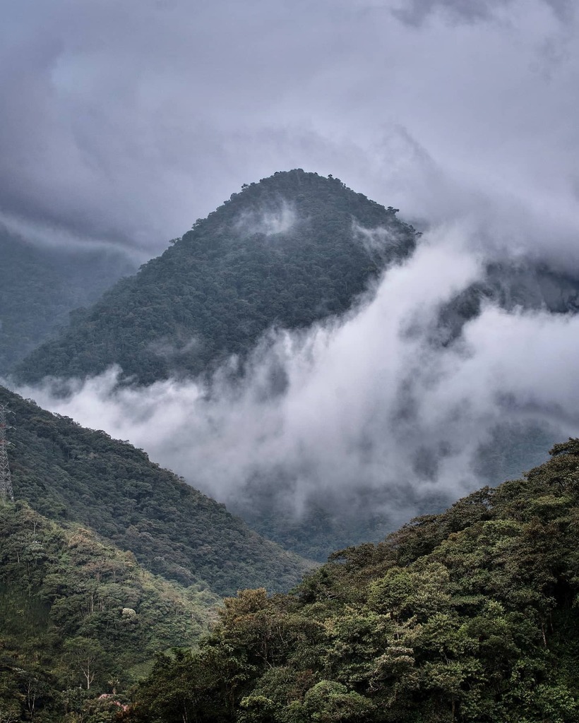 Bergougnoux Remi Remi Bggx Twitter