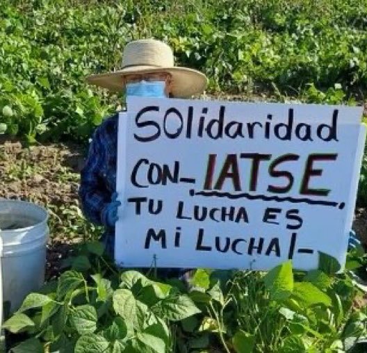 JortsTheCat's tweet photo. When you feel really bummed out you can think about farm workers showing solidarity to IATSE members for the right to adequate rest breaks https://t.co/3FisMdYIAo