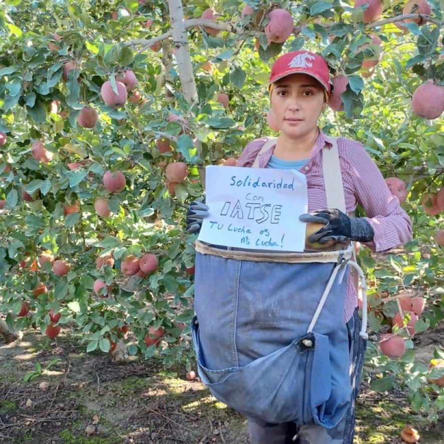 JortsTheCat's tweet photo. When you feel really bummed out you can think about farm workers showing solidarity to IATSE members for the right to adequate rest breaks https://t.co/3FisMdYIAo