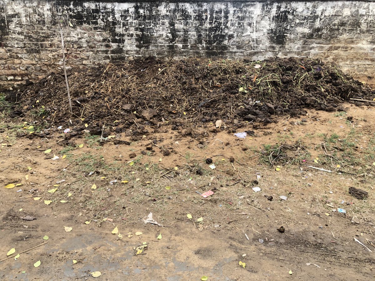 udaiveer tweet media