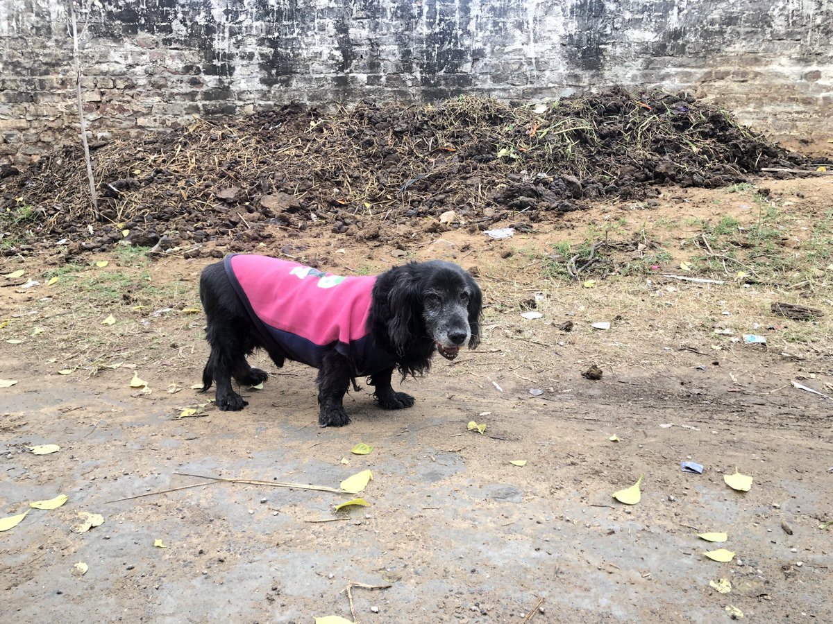 udaiveer tweet media