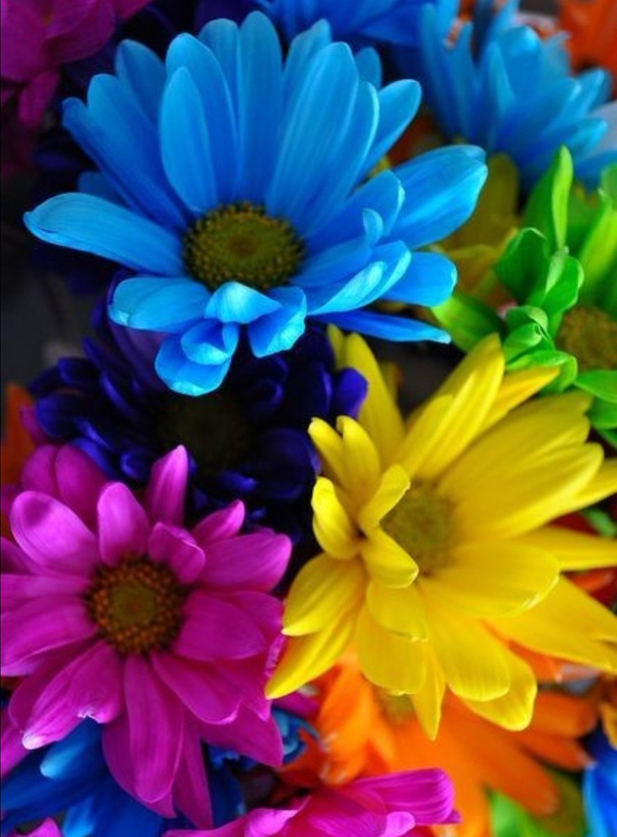 بَشر 💫 tweet media