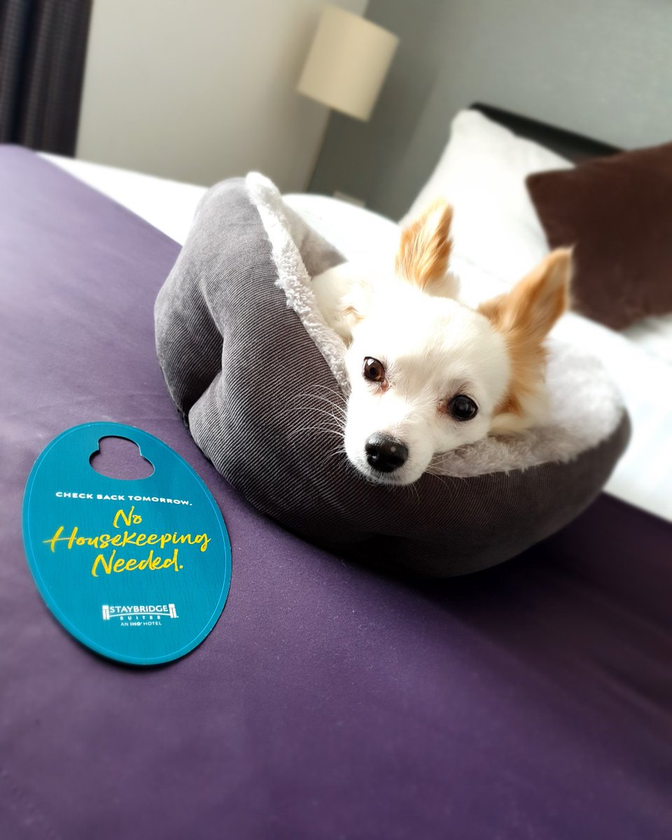 ⭐ 𝐇𝐚𝐩𝐩𝐲 𝐅𝐫𝐢𝐝𝐚𝐲 ⭐

Hands up if this is how you plan on spending your weekend!🙌

#staybridgesuites #birminghamcitycentre #birmingham #citycentre #citylife #city #fun #leisure #brum #apartments #breakfastincluded #apartmenthotel #hotellife #hotel #chilledweekend