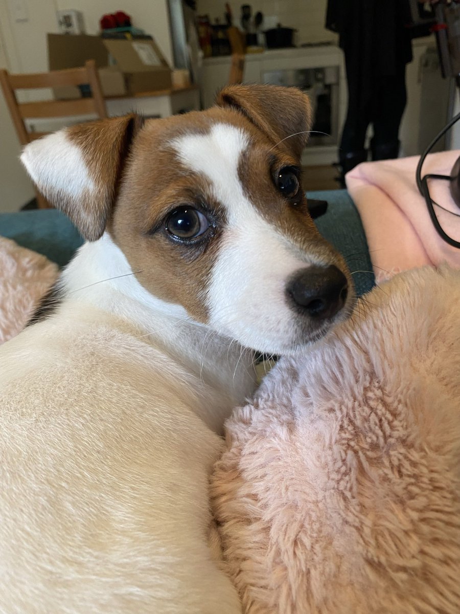 Enby Adams tweet media