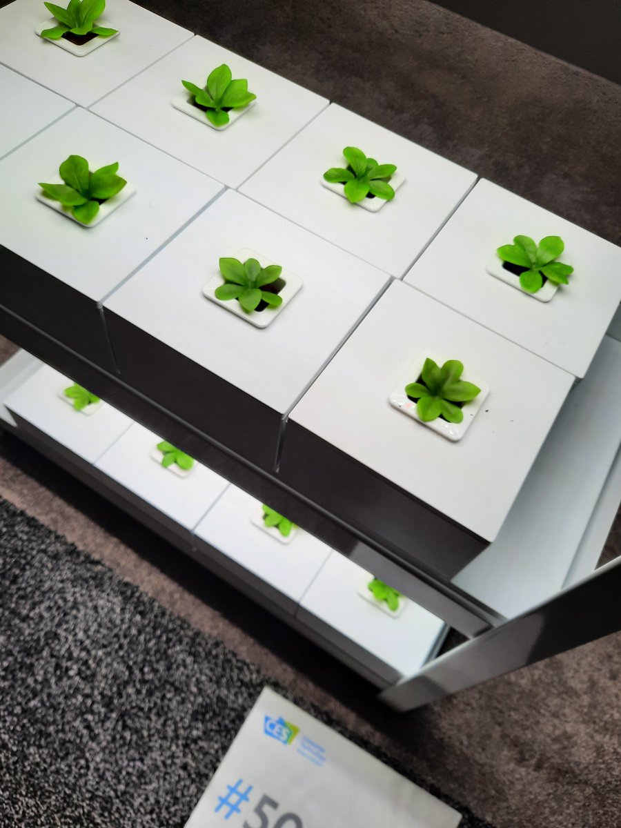 N.thing is an Awards Honoree for Sustainability with its vertical farming concept that raised $26m last october
#CES2022 #EchangeurUSA #verticalfarming

<a href="/jblefevre60/">Jean-Baptiste Lefevre</a> <a href="/RLDI_Lamy/">Lionel Costes</a> <a href="/AlexJubien/">Alex Jubien 🌍</a> <a href="/kalydeoo/">Eric Gaubert</a> <a href="/CecileGauffriau/">Cécile Gauffriau #BCircular♻️</a> <a href="/tewoz/">Eric T.</a> <a href="/chboursin/">Christine Boursin 🌐</a> <a href="/Shi4Tech/">💙 #TechForGood 💙</a> <a href="/pierrecappelli/">Pierre Cappelli 🌏</a> <a href="/sallyeaves/">Sen. Sally Eaves</a> <a href="/cagneux/">Ludovic Cagneux</a>