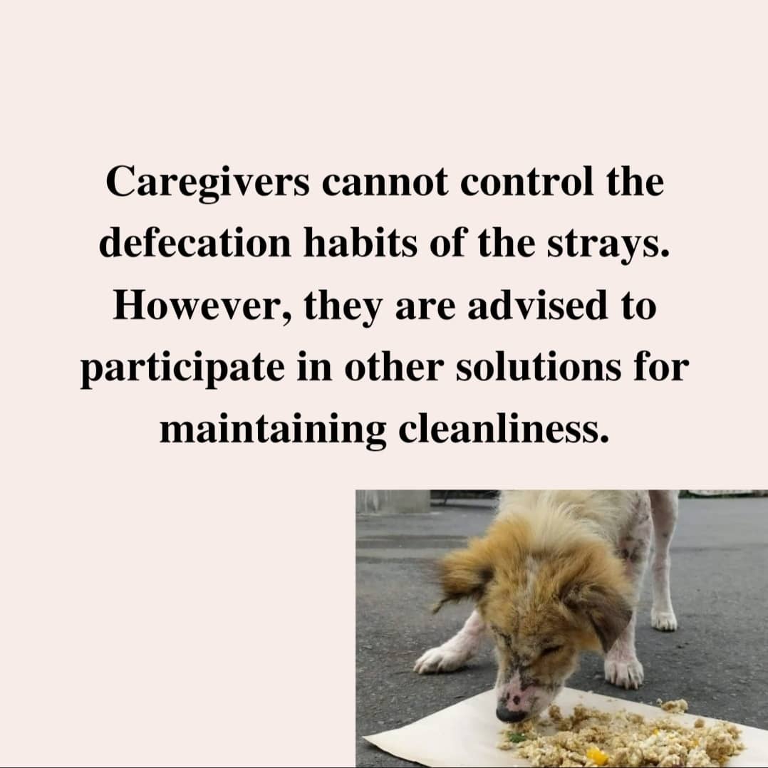 pfaindia's tweet photo. AWBI Guidelines for Caregivers of Community Dogs

Note: For any complaints email us at gandhim@nic.in

#awbiguidelines #communityanimals #servetheanimals #straydogs #pfaofficial https://t.co/VXMG9ig2lz