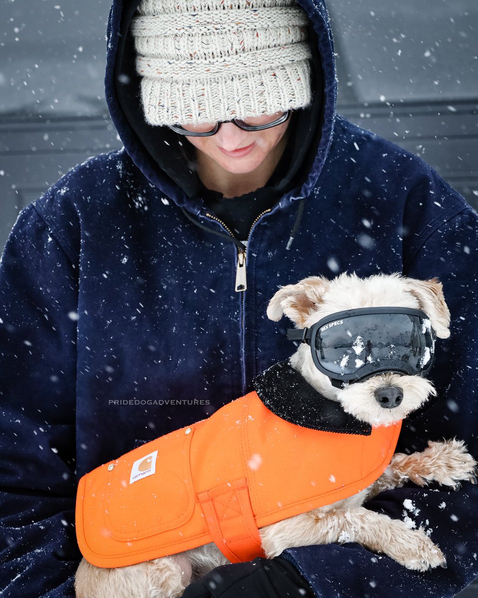 samrrodriguez's tweet photo. Walker enjoying his first snow and the unlimited amount of snow balls - Oliver all geared up with mom ready to take on winter here in Murfreesboro, TN! @WKRN @DanielleBreezy @MboroSevereWx @WSMV @RuthSevereWx @NC5 @NWSNashville @Carhartt @dog_rates @WSMVweather https://t.co/ygCZ9AZrlY