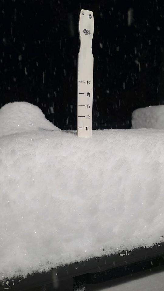 Kevin Gilbert 🇺🇸 tweet media