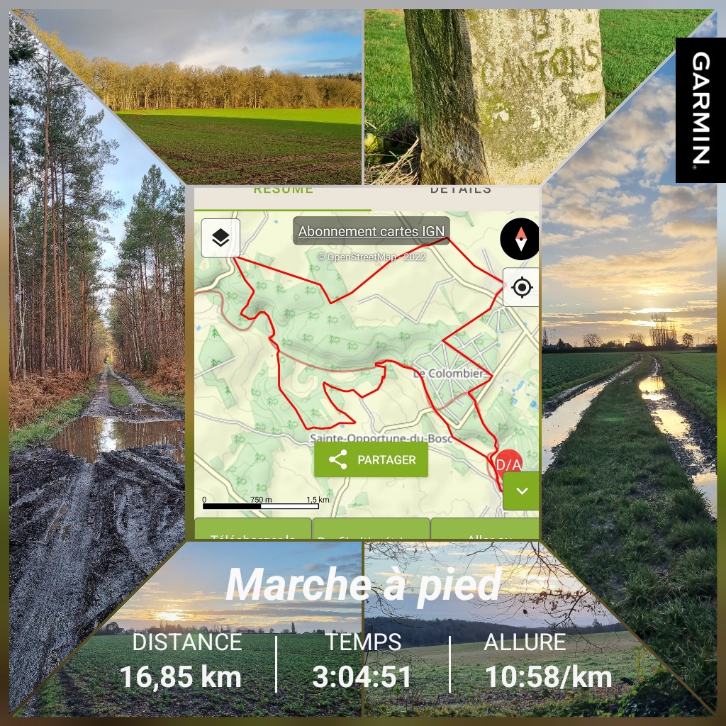 LtnPtn's tweet photo. #visorando #garmin #beatyesterday https://t.co/JsLbZ9AGaI