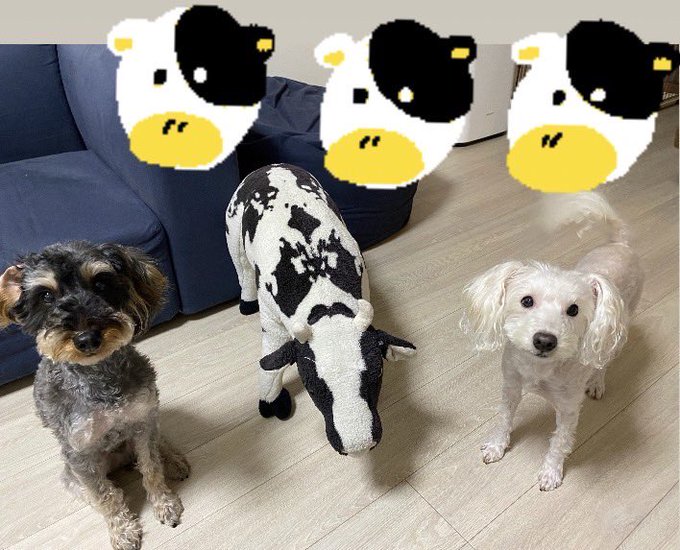 Twitterのコスプレ画像5