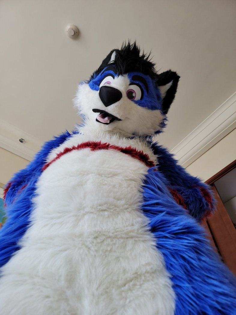 If you want a happy weekend, you have to defeat me first！！！😈

#FursuitFriday