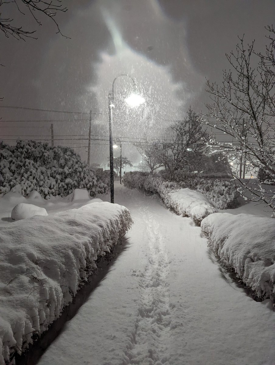 Marfill4's tweet photo. Good morning ❄️🌨️ #photography https://t.co/cDixZa98WB