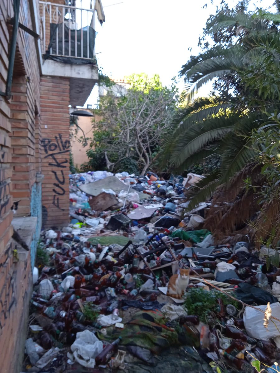LaGranVidaIB3's tweet photo. El nostre company Joan Farrés @En_Farres va connectar el Dia de Reis, en directe, des de l'antiga presó de Palma..
Ho pots tornar a escoltar a👇

 https://t.co/q4HVAvco9f https://t.co/OscikrM99u https://t.co/Y19rMo8o3B
