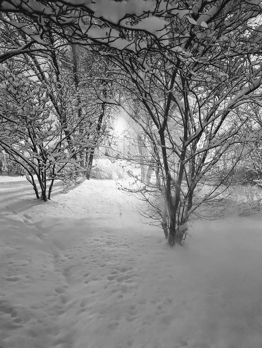 Marfill4's tweet photo. Snowy Friday morning #photography https://t.co/Y5oXJdiYhZ