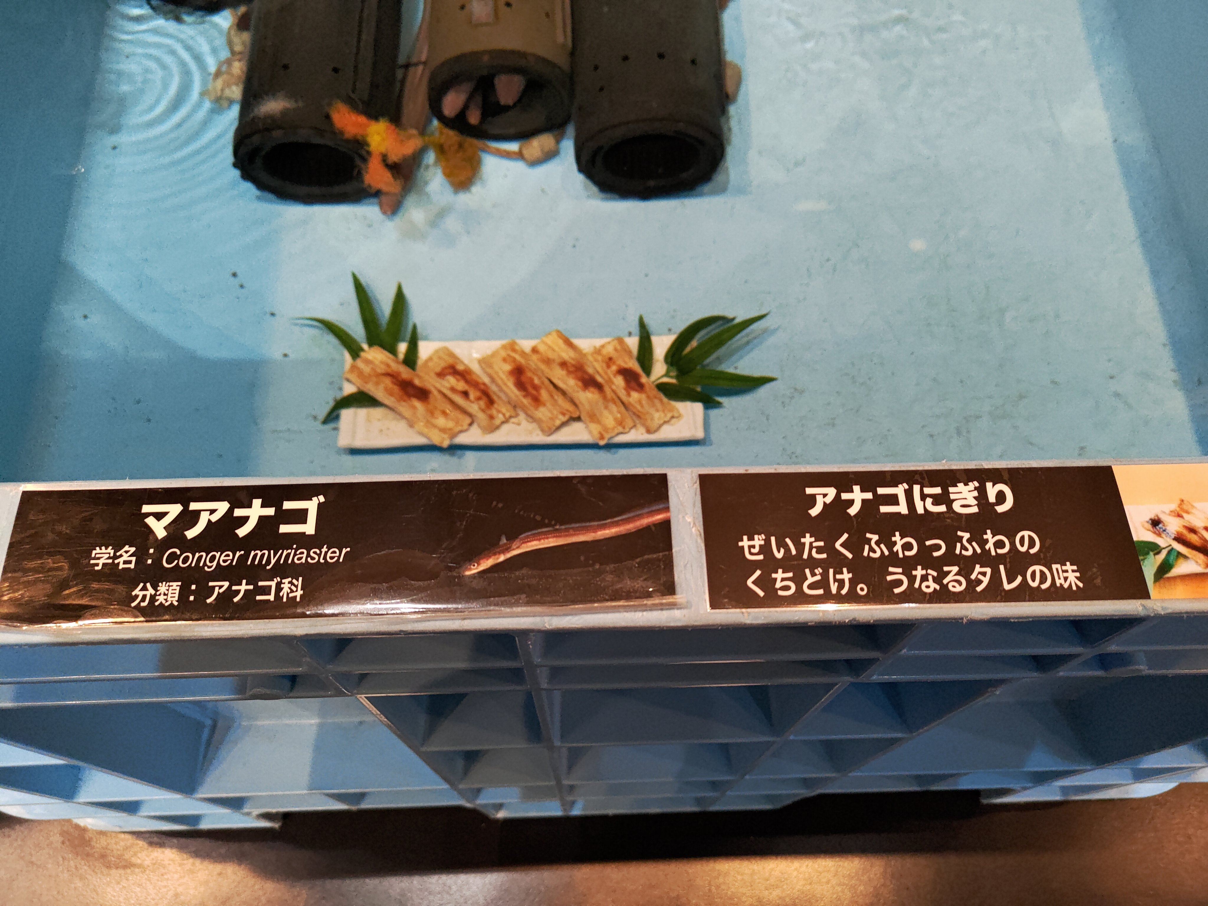Tweets With Replies By ざざむし の人 Nekton27 Twitter