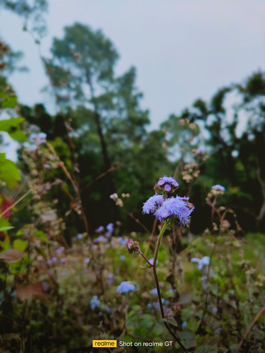 jaimonga95's tweet photo. Always a clear vision. #shotonrealme #realmeGT 5G #SheerSpeedFlagship https://t.co/6OaRLWt0nv