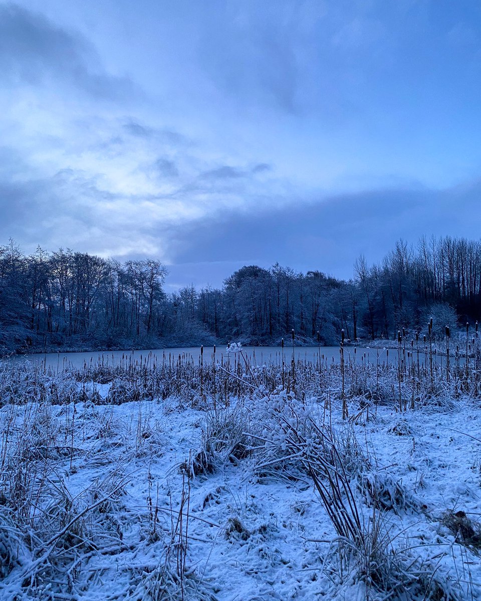 EasterBreich's tweet photo. First snowfall of 2022! 🌟 https://t.co/HMoDoqeeM7