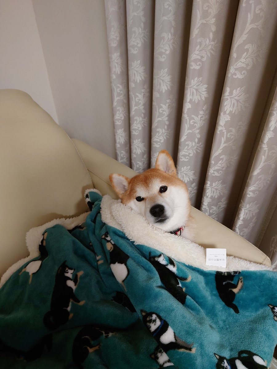 後藤倫子 Honey Name Next Twitter 後藤倫子 Honey Name Next Twitter