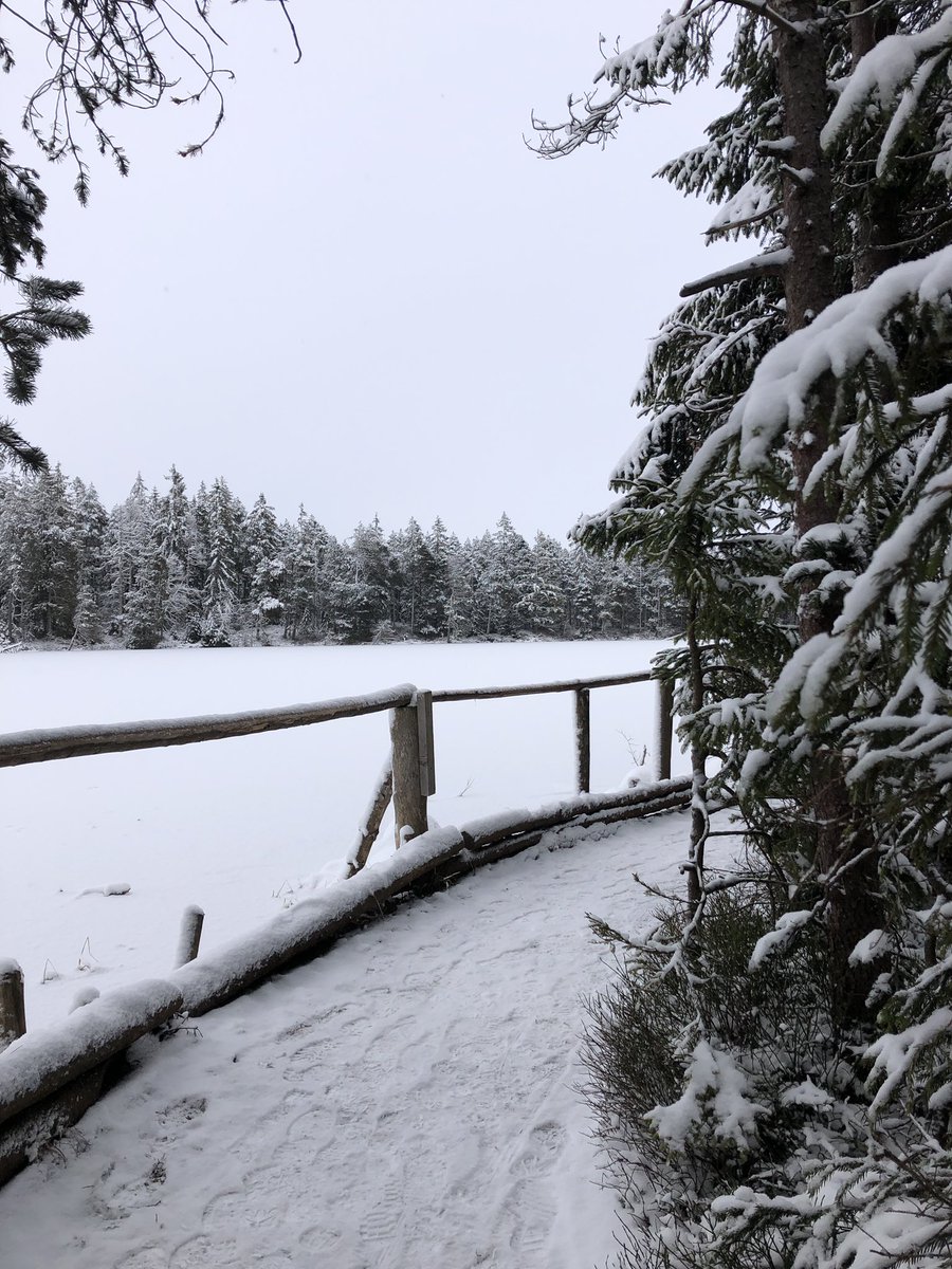 schoelsimon's tweet photo. Winter Wonderland. 😍❄️ https://t.co/FedT7UdmeP