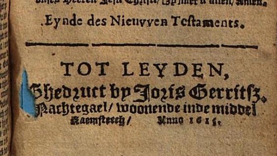 Renske Hoff tweet media