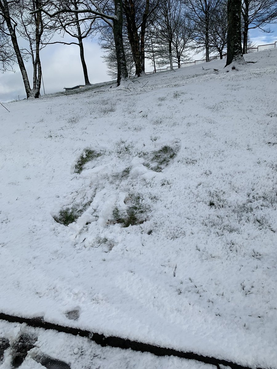 MissMuir8's tweet photo. Busy class today working with snow in as many creative ways as we can think of! Maryhill has a few more snow people than this morning!⛄️⛄️ @stmarysmaryhill https://t.co/xfePF2yUt6