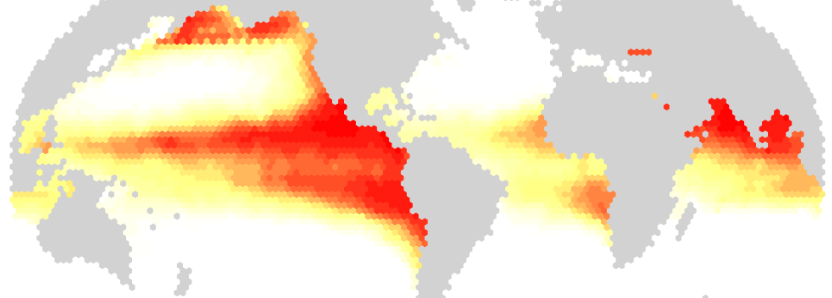 Oliver Andrews tweet media