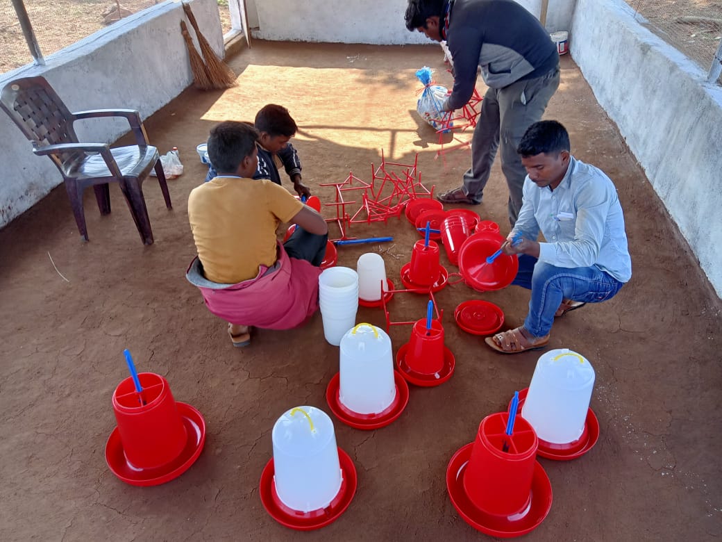 OlmShakti's tweet photo. Broiler unit by  SHG members at Jodambo GP of Swabhiman Anchal, Chitrokonda under Misssion Shakti Department Convergence with veterinary Department. 
#Odisha_Livelihoods_Mission #livelihoods #missionshaktishgs #livelihoodsmatter 
@dm_malkangiri @OLM_Antyoday @mission_shakti https://t.co/MU1OrLmrMS