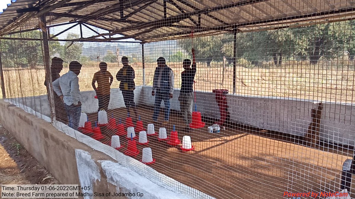 OlmShakti's tweet photo. Broiler unit by  SHG members at Jodambo GP of Swabhiman Anchal, Chitrokonda under Misssion Shakti Department Convergence with veterinary Department. 
#Odisha_Livelihoods_Mission #livelihoods #missionshaktishgs #livelihoodsmatter 
@dm_malkangiri @OLM_Antyoday @mission_shakti https://t.co/MU1OrLmrMS