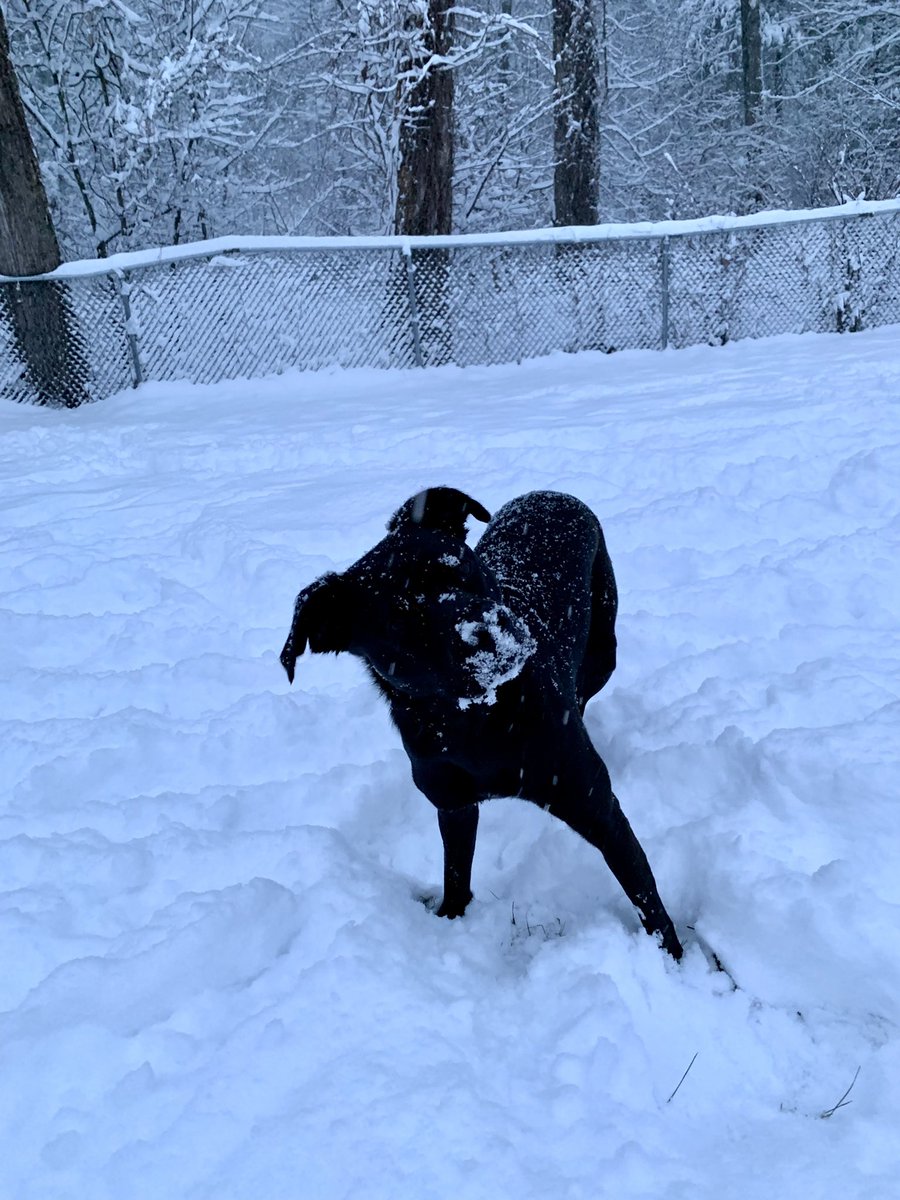 Some early morning playing in the snow!