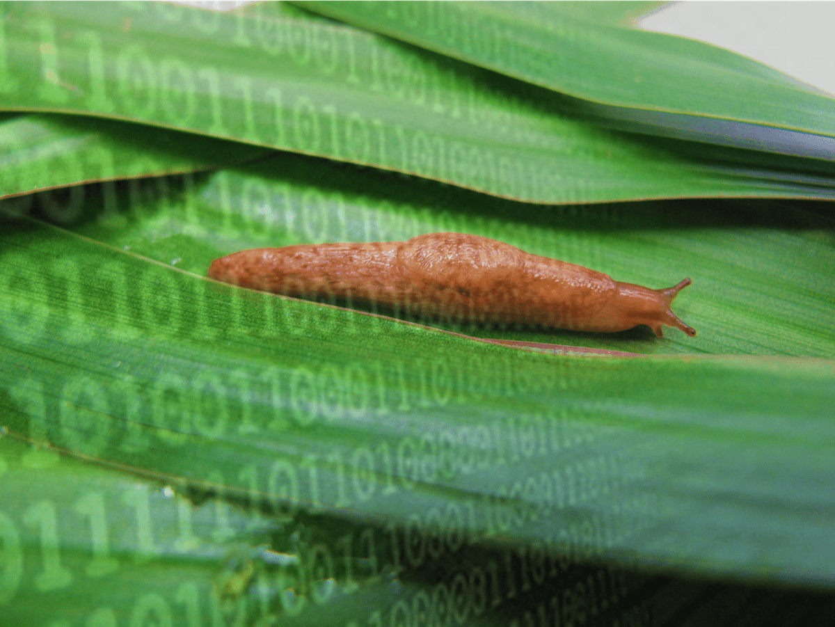 CHAPAgriTech's tweet photo. "20 of the Weirdest Inventions From the Past 20 Years" @mental_floss blog featuring SlugBot
You say weird, we say game changing
#SlugBot, not to be confused with the 2001 project with the same name, is an autonomous slug monitoring & treatment system
▶️https://t.co/PEbR7ua86p https://t.co/rMRNaq5vcY