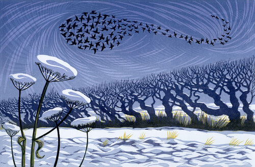 'Snow starlings' by contemporary UK printmaker Niki Bowers #WomensArt