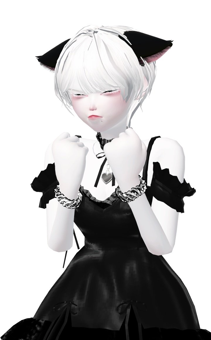 sallx_204's tweet photo. แมวกำหมัด https://t.co/W8TwXpy5hf