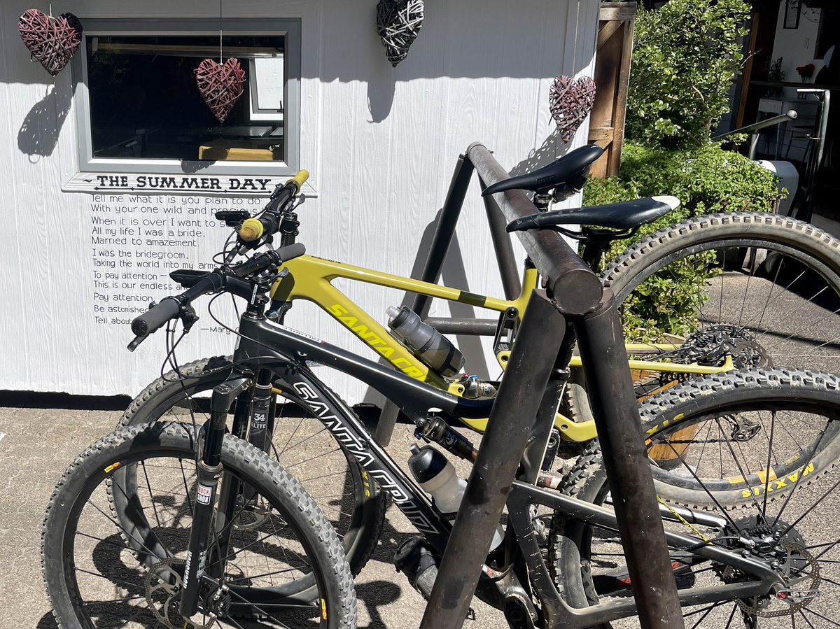 Ah! The Summer Day &amp; <a href="/santacruzbikes/">Santa Cruz Bicycles</a> ! 💛😎