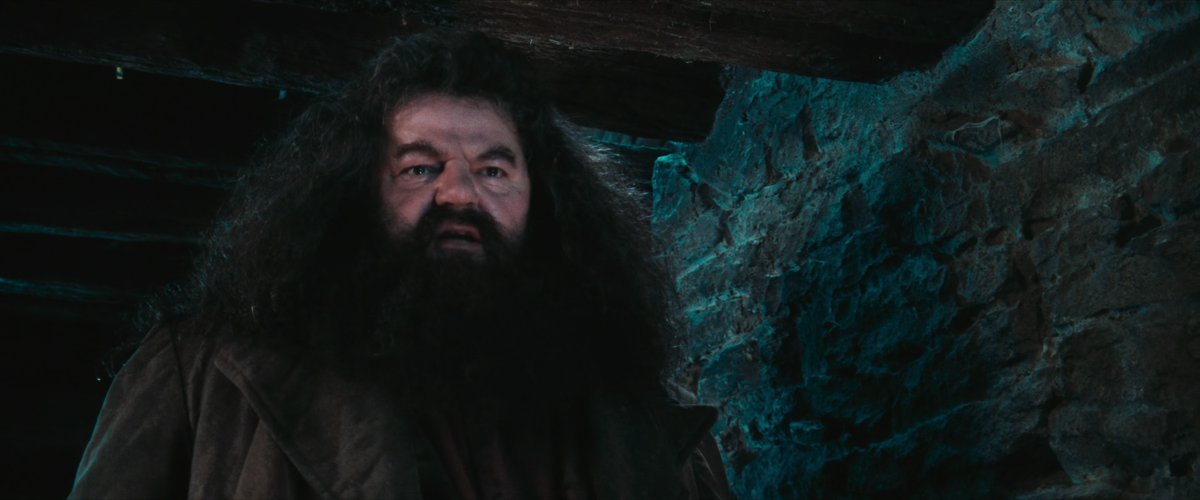 PotterheadPosts's tweet photo. "A car crash?! A car crash killed Lily and James Potter?! It's an outrage! It's a scandal!" - Rubeus Hagrid https://t.co/TxJDDFFlG9
