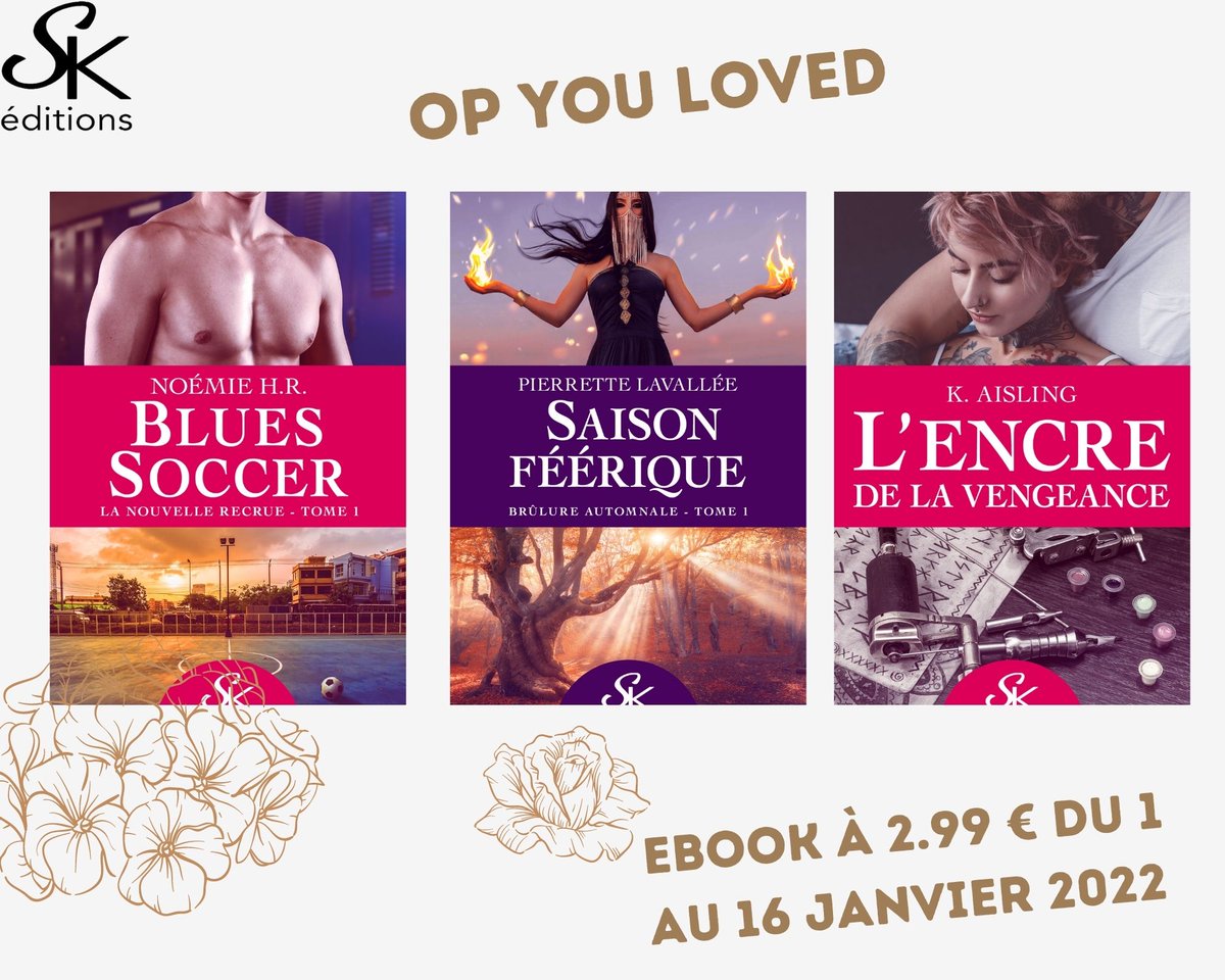 3 de nos ebooks en promo jusqu'au 16 janvier 2022 !