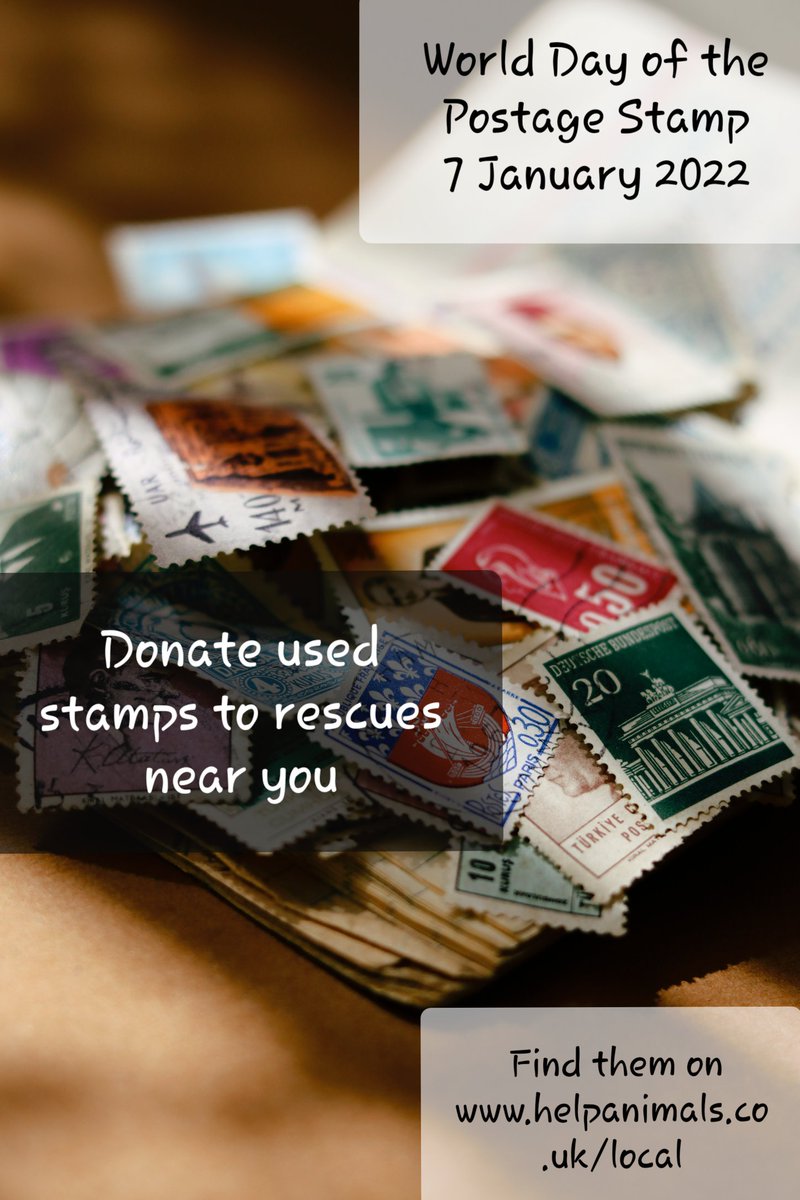 HelpAnimals25's tweet photo. Today is #worldpostagestampday
Many of our rescues collect used #stamps to sell to collectors for additional funds
So don't throw away the envelope and stamp, collect them and #helpanimals
#onevoiceforanimalsuk #animalrescue #wildliferescue #fundraising #donate #stampday https://t.co/fBRQoPB9X0