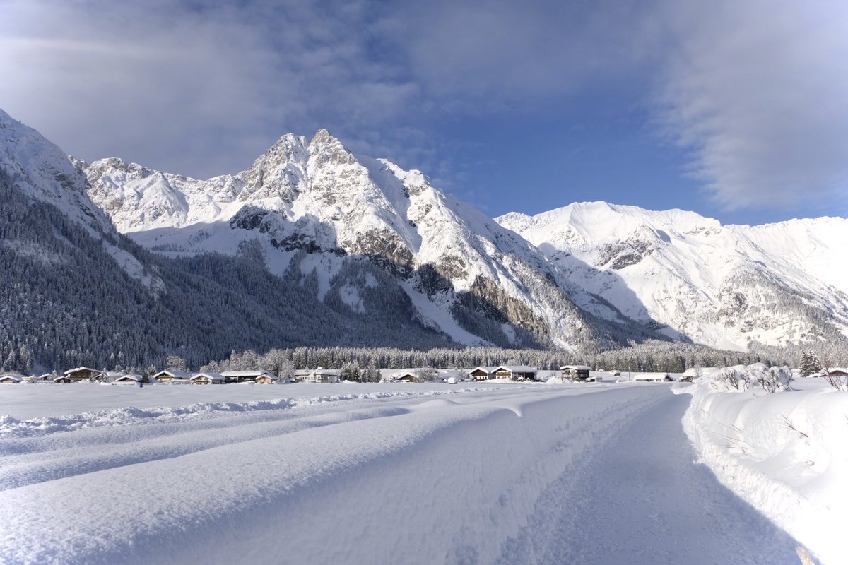 Petra_C_M_P's tweet image. Damals, als die Schneemauern 1.50m hoch waren….🤍

Guten Morgen, Welt! 

#SnowContent #2019 #SnowHour