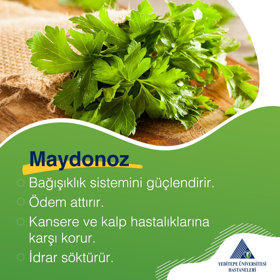 yeditepeunihst's tweet photo. Maydanoz içindeki A, C, K vitaminleri ile bağışıklık sisteminizi güçlendirirken, ödem atmanıza da yardımcı olur.

#yeditepesağlık #neyemeli #yeditepeüniversitesihastanesi https://t.co/4dwcoadmyo