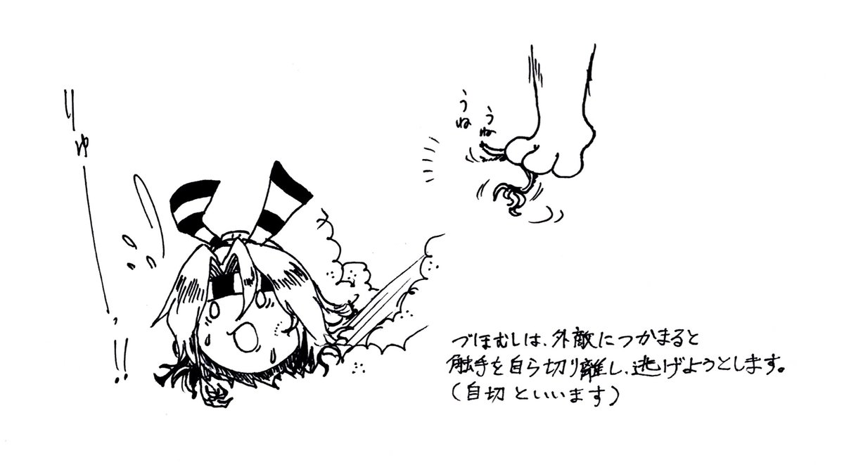 づほむしの生態レポート36 #づほむし 
