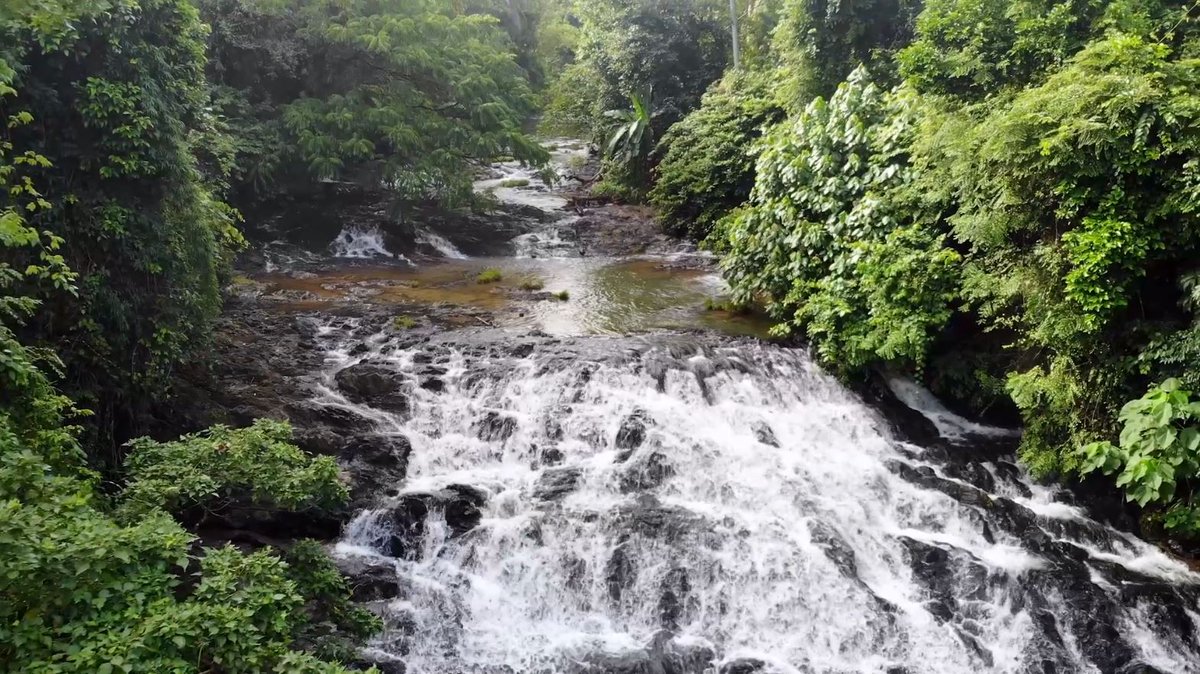 Rumaragasang blessings this 2022! 🙏Claim mo na ‘yan, biyahero! 

Sa taas na 20 meters at lalim na lampas tao, ang Hagimit Falls sa Camarines Norte perfect spot para lumangoy at mag-dive.  O, walang aabsent sa unang #BiyaheNiDrew ngayong 2022! 

SUNDAY | 8:30 PM | GTV