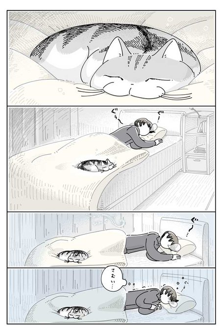 飼い主の『諦め』に共感 夜中、寒くて目が覚めると? https://t.co/kehOv3j5Ka @grapeejpより 