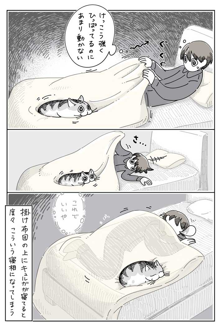 飼い主の『諦め』に共感 夜中、寒くて目が覚めると? https://t.co/kehOv3j5Ka @grapeejpより 