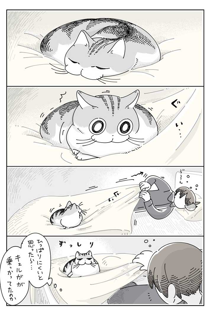 飼い主の『諦め』に共感 夜中、寒くて目が覚めると? https://t.co/kehOv3j5Ka @grapeejpより 