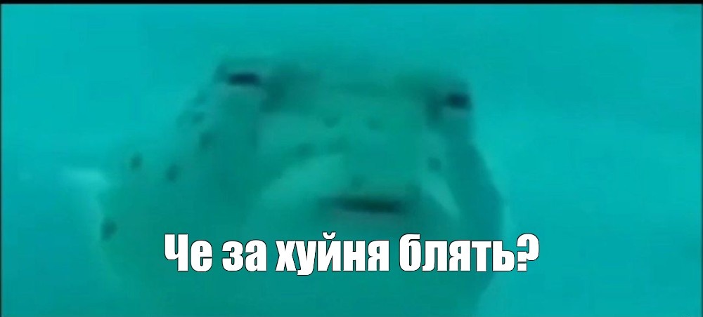 Надо возвращать долги по учебе, но я нихуя не занимал......