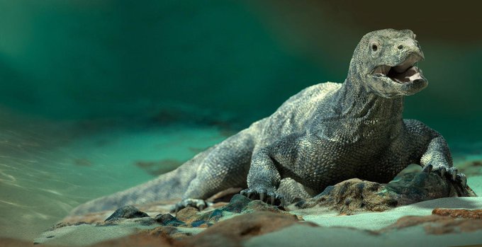 STMediaCH's tweet photo. Gewusst? #Aquatis in #Lausanne ist das größte Süßwasseraquarium Europas und lädt die Besucher ein, in eine Reise durch fünf Kontinente einzutauchen und mehr als 300 verschiedene Tierarten kennenzulernen!
@LausanneCO  @regionduleman
https://t.co/nXgsYmt0eb https://t.co/L7rmMV6eiQ