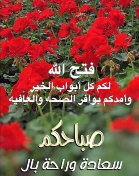 الشمري tweet media