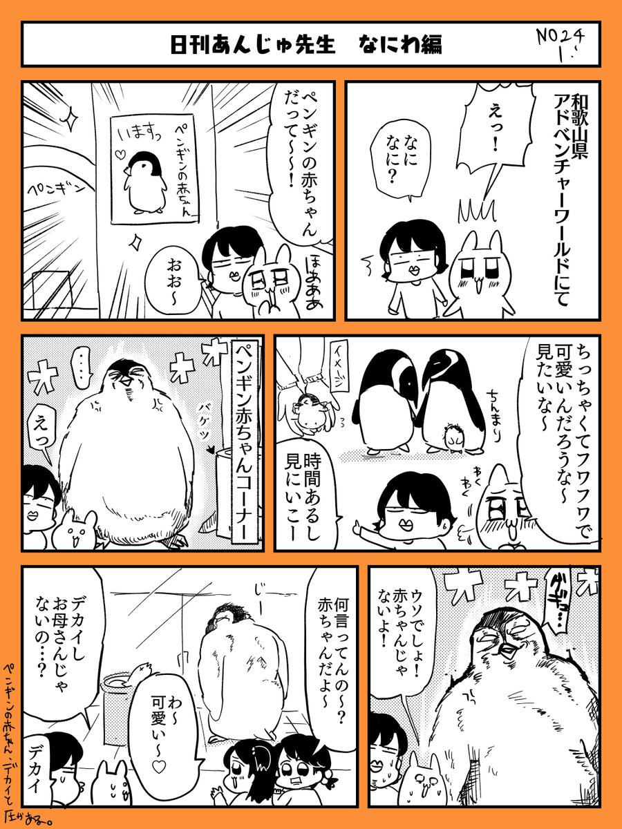 アドベンチャーワールドの赤ちゃんペンギン💓

#日刊あんじゅ先生 