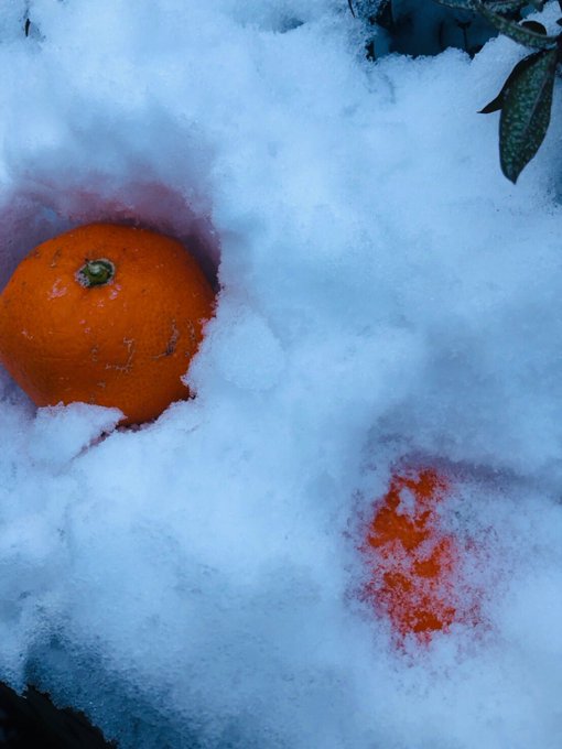 Twitterのコスプレ画像32